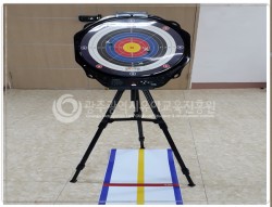 한궁 사진