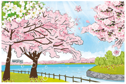 14. 벚꽃 꽃배경 사진