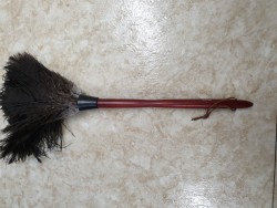 깃털 먼지털이 (타조) 사진