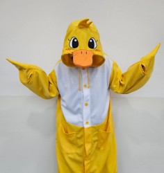 1동물- 오리 성인용 사진