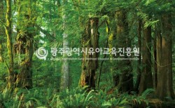 41. 정글숲속1 사진